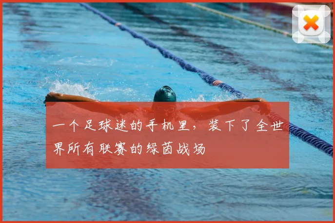 一个足球迷的手机里,装下了全世界所有联赛的绿茵战场